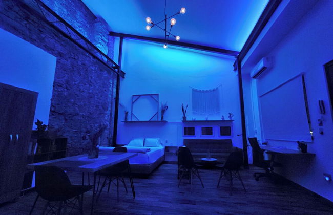 Mola Studio By Paradox - Foto 13