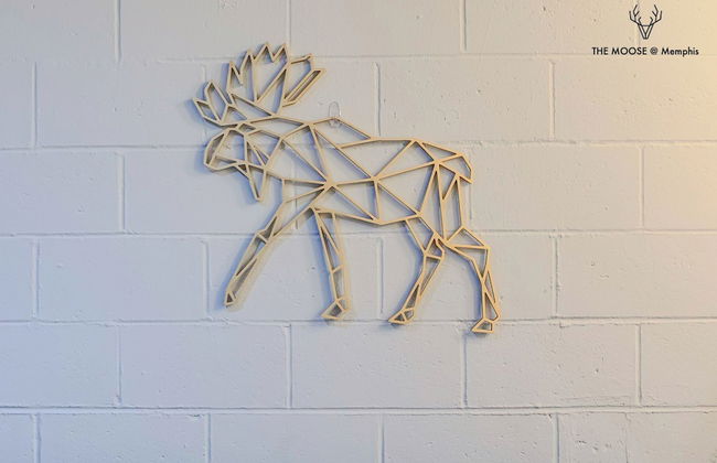 The Moose - Foto 16