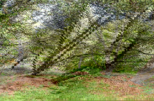 Foto 31 - Secluded Retreat by Limfjorden - By Traum Ferienwohnungen
