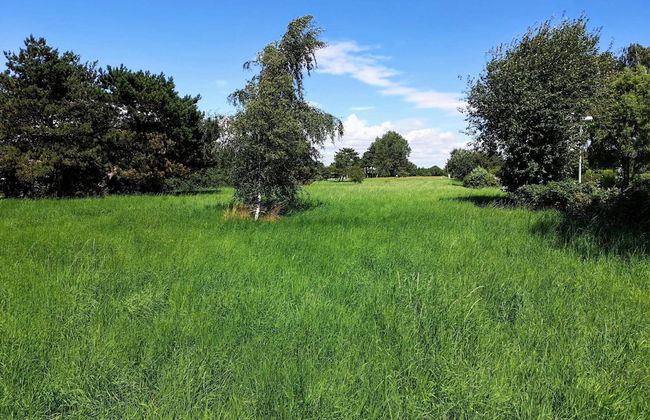 6 Person Holiday Home in Karrebaeksminde - Foto 24