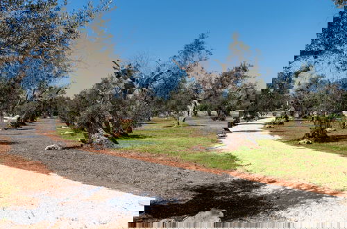Foto 66 - Stunning Villa Surrounded by Olive Trees - Beahost