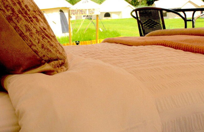 Bell Tent Village - Foto 12