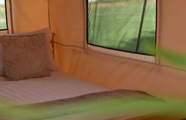 Bell Tent Village - Foto 18