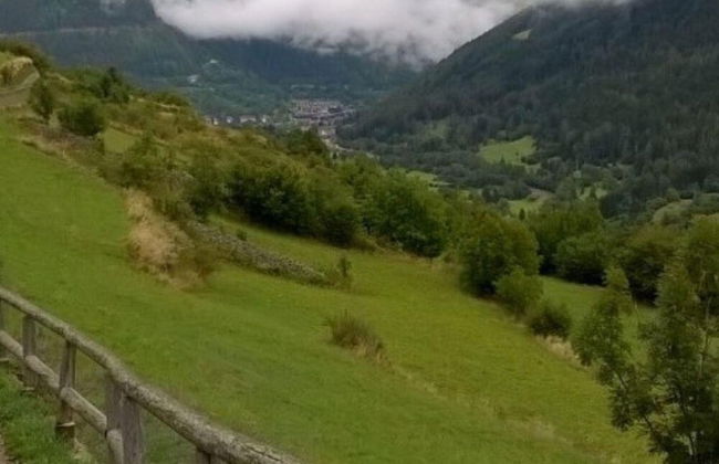 Woodpecker s Chalet in Tem - Foto 9