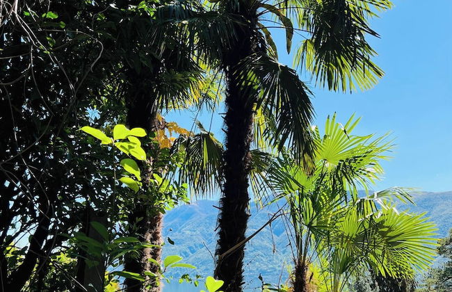 Enchanting View of Lake Maggiore & Mountains - Foto 36