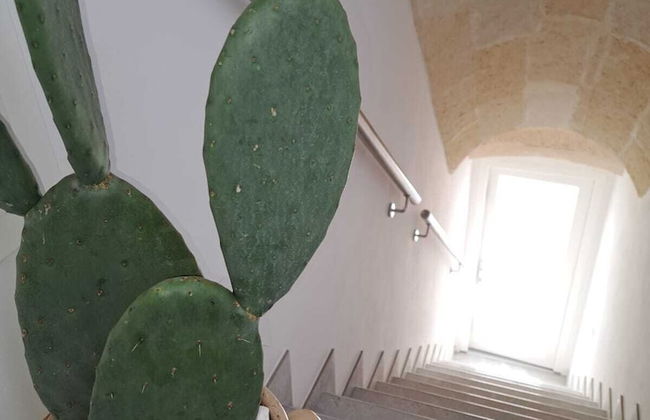 Mae Apulian Rooms - Foto 24