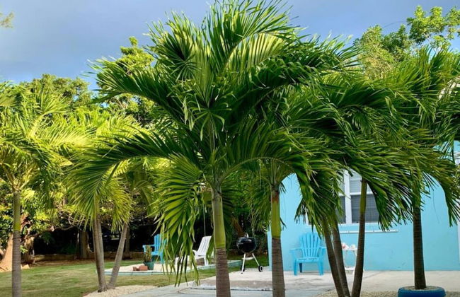 S1 BP Steps to Beach - Foto 38