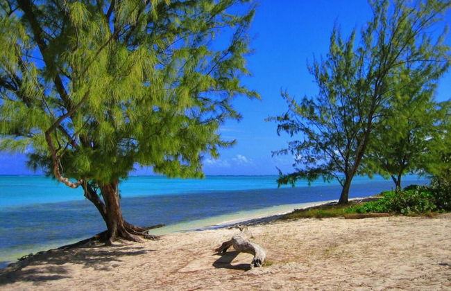 S2A Blue Pavilion - Beach Transfers Meals Tours Island Retro Chic - Foto 33