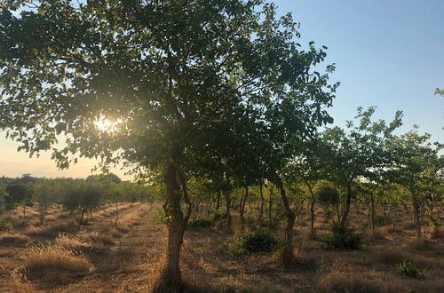 Photo 31 - Antica Masseria Jorche