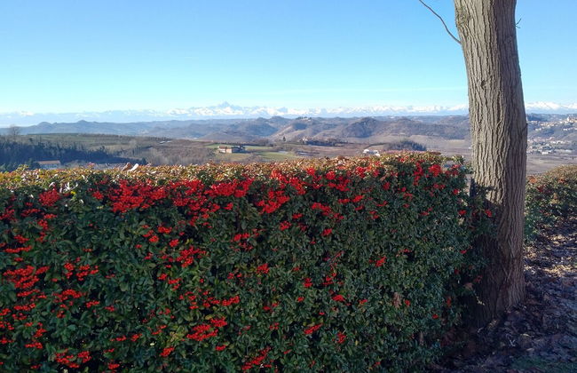Cascina Cortine - Photo 46