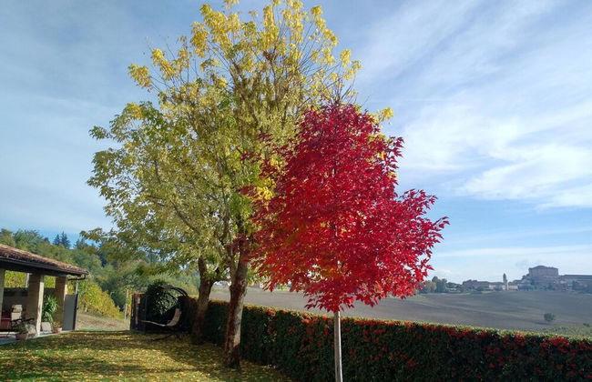 Cascina Cortine - Photo 42