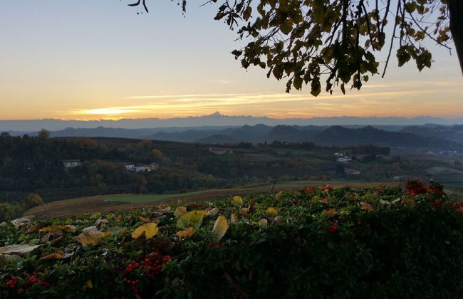 Cascina Cortine - Photo 50