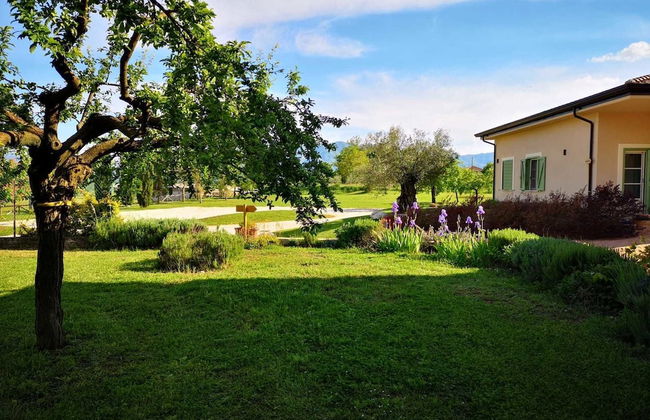 Agriturismo di charme Erbadoro - Foto 36