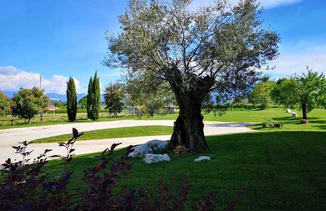 Agriturismo di charme Erbadoro - Foto 42