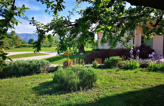 Agriturismo di charme Erbadoro - Foto 40