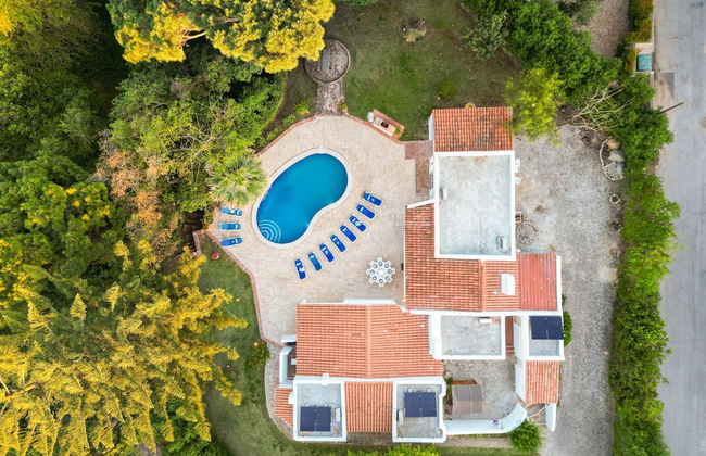 Villa AlGharif - Foto 72