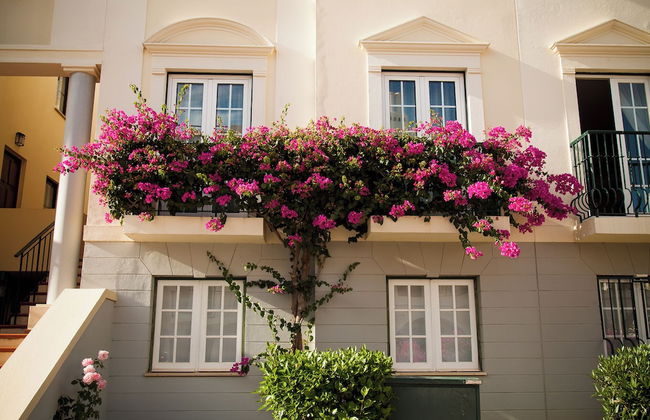 Old Village & Prestige - Foto 60