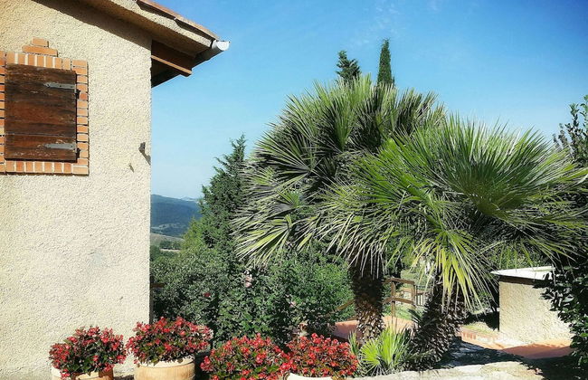 Villa in Sasso Pisano Wuith Garden - Photo 44