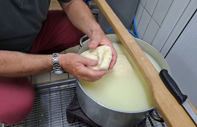 Fattoria Manostalla - Foto 24