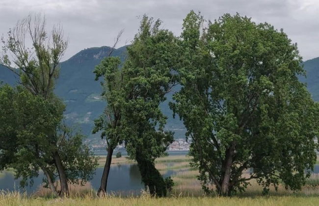 Ancient, Renovated Farmstead With Private, Equipped Garden - Foto 39