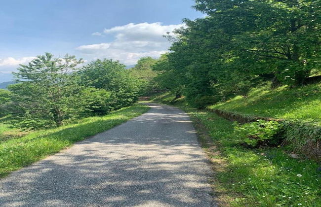 Ancient, Renovated Farmstead With Private, Equipped Garden - Foto 41