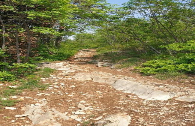 Ancient, Renovated Farmstead With Private, Equipped Garden - Foto 31