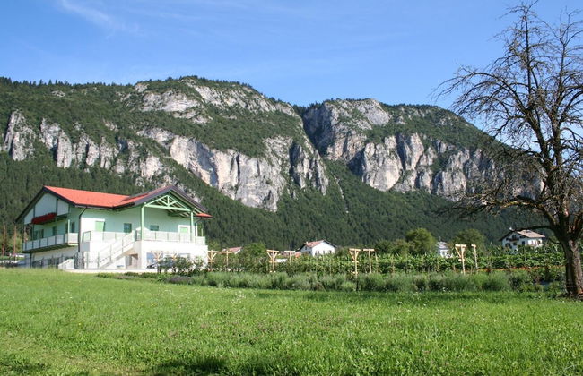 Agriturismo Florandonole - Foto 41
