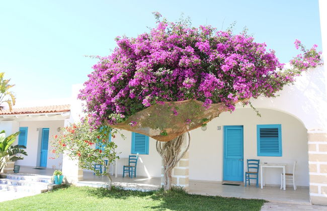 Antichi Mulini - Foto 34