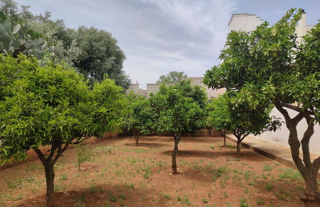 Masseria La Foggia - Foto 41