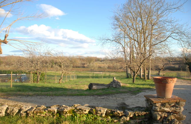 Agriturismo Podere Conte Ràcani - Foto 34