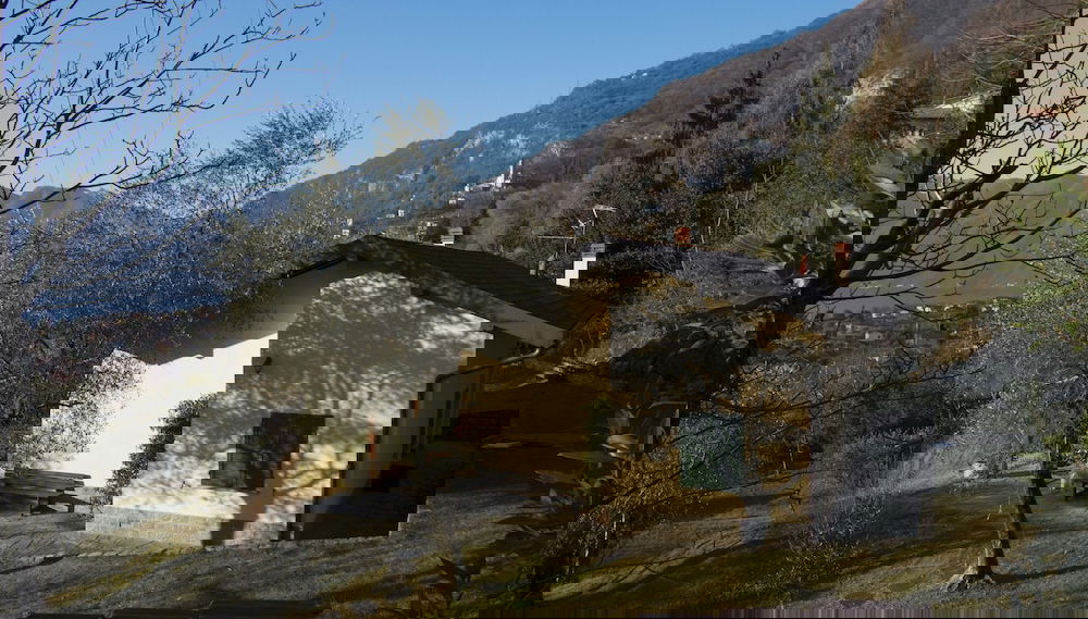 Primary image