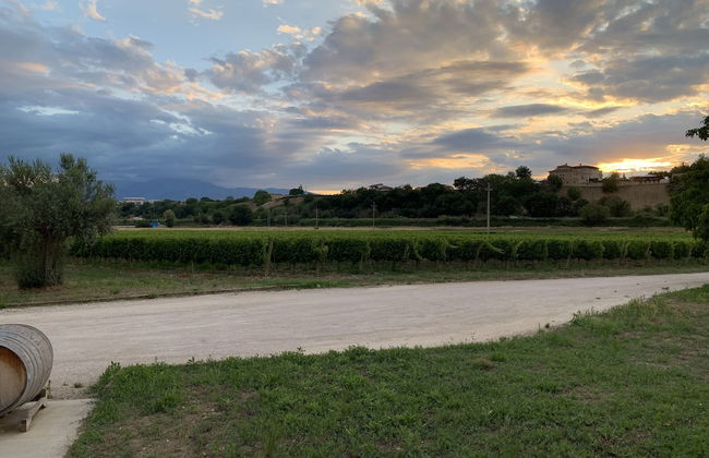 Agriturismo De Luca - Foto 17