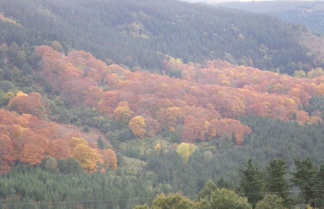 Mendi Alai - Foto 32