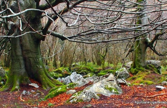 Mendi Alai - Foto 30