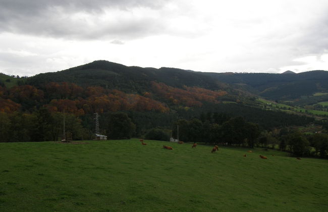 Mendi Alai - Foto 27