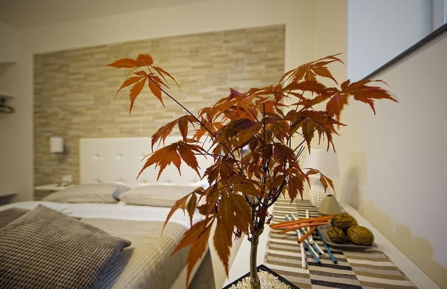 Terra Mia - Photo 11