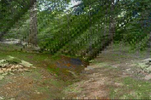 Photo 4 - Mountain Meadow