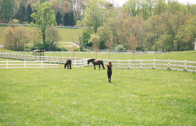 The Horse Shoe Farm - Foto 42