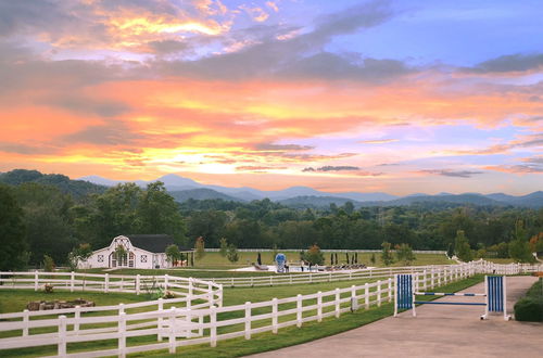 Foto 1 - The Horse Shoe Farm