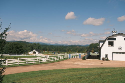 Photo 53 - The Horse Shoe Farm