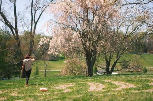 Photo 53 - The Horse Shoe Farm