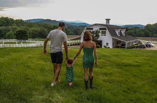 Photo 41 - The Horse Shoe Farm