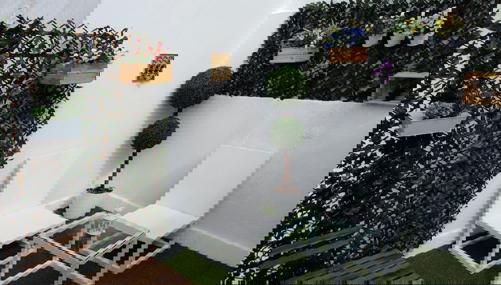 Imagem principal