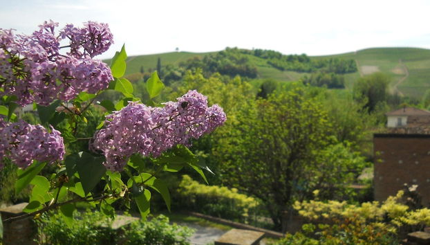 Vista dalla camera