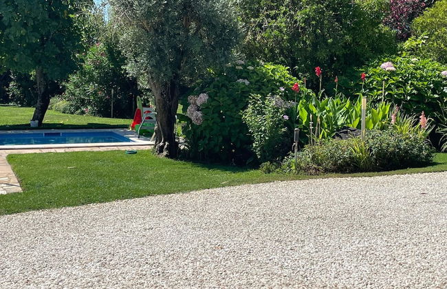 Shared Quinta With Pool and Olive Grove Views - Foto 33