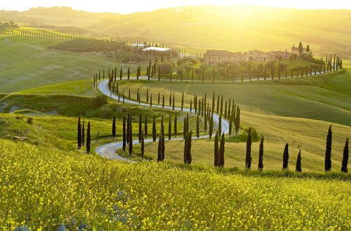 Photo 13 - Palagio 8 in Chianti With Shared Pool