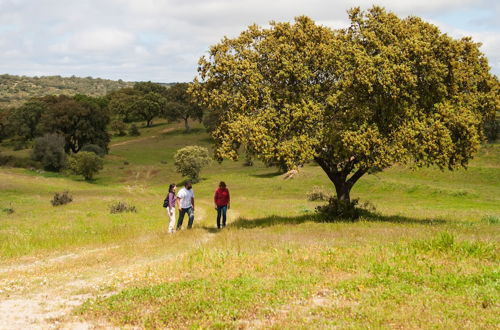 Photo 25 - Casas de Romaria de Brotas