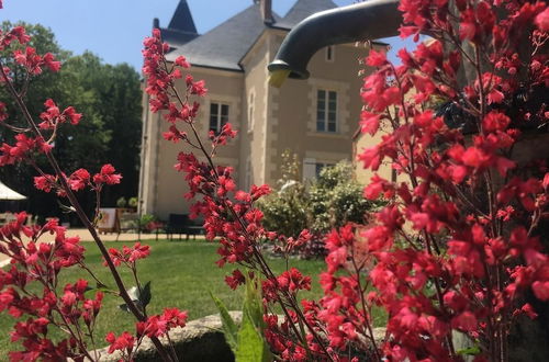 Photo 30 - L'orangerie DU Chateau DES Cedres