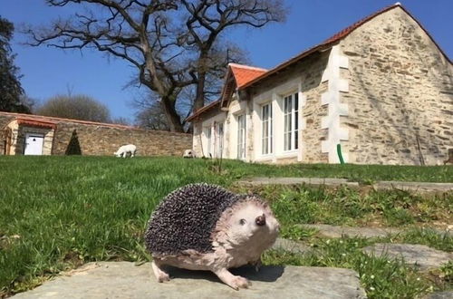 Photo 24 - L'orangerie DU Chateau DES Cedres