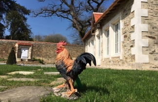 Photo 1 - L'orangerie DU Chateau DES Cedres